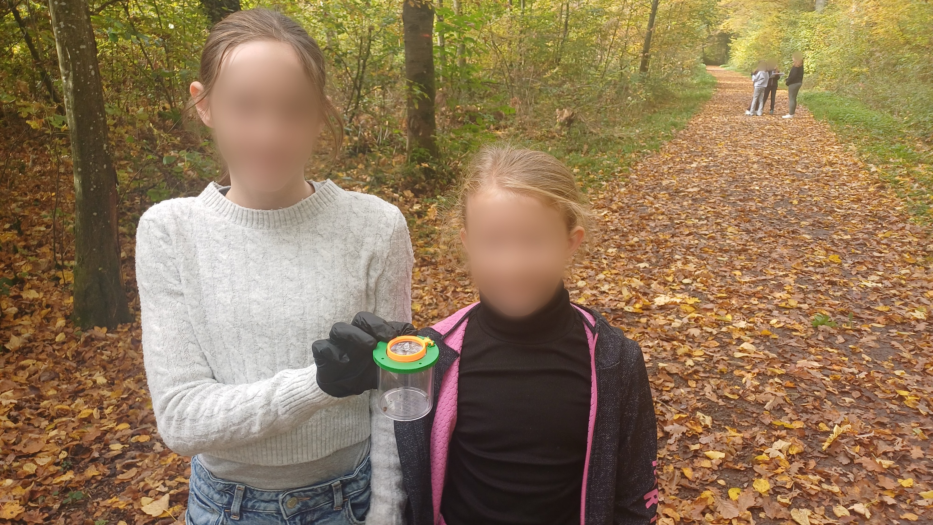 Schüler der Klasse 6b im Wald