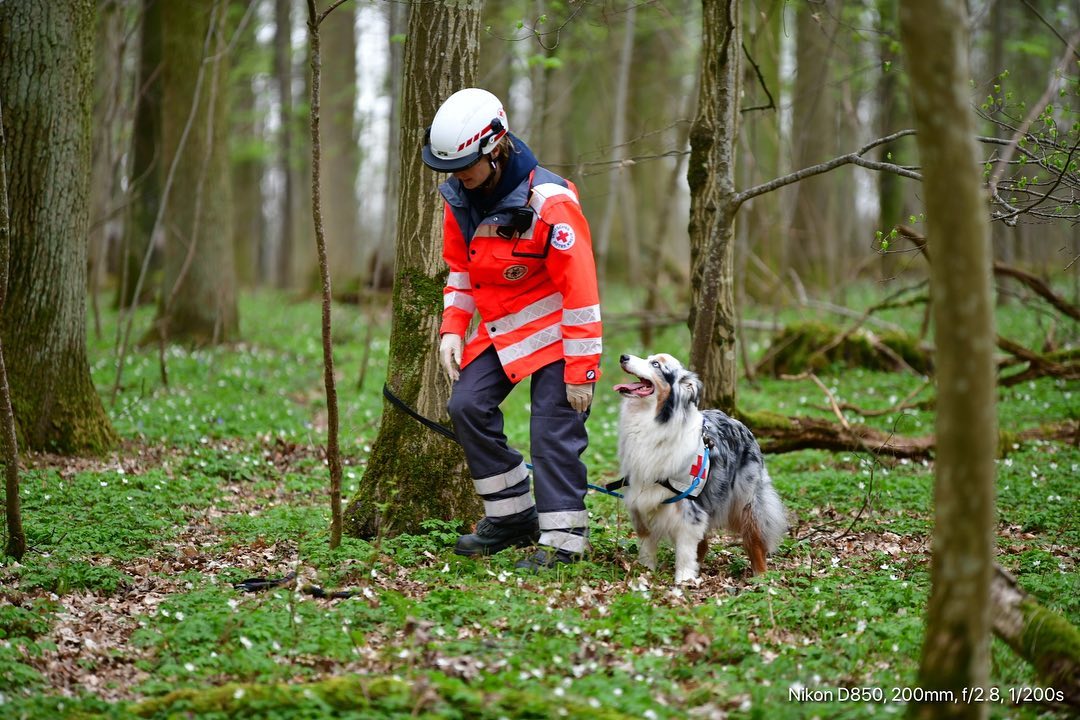 Hundestaffel Ludwigsburg